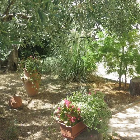 Lejlighed Studio In With Balcony, Air Condition, Wifi *
